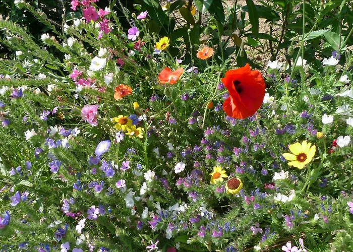 Peterberg 22, 45qm Apartment Kirchzarten